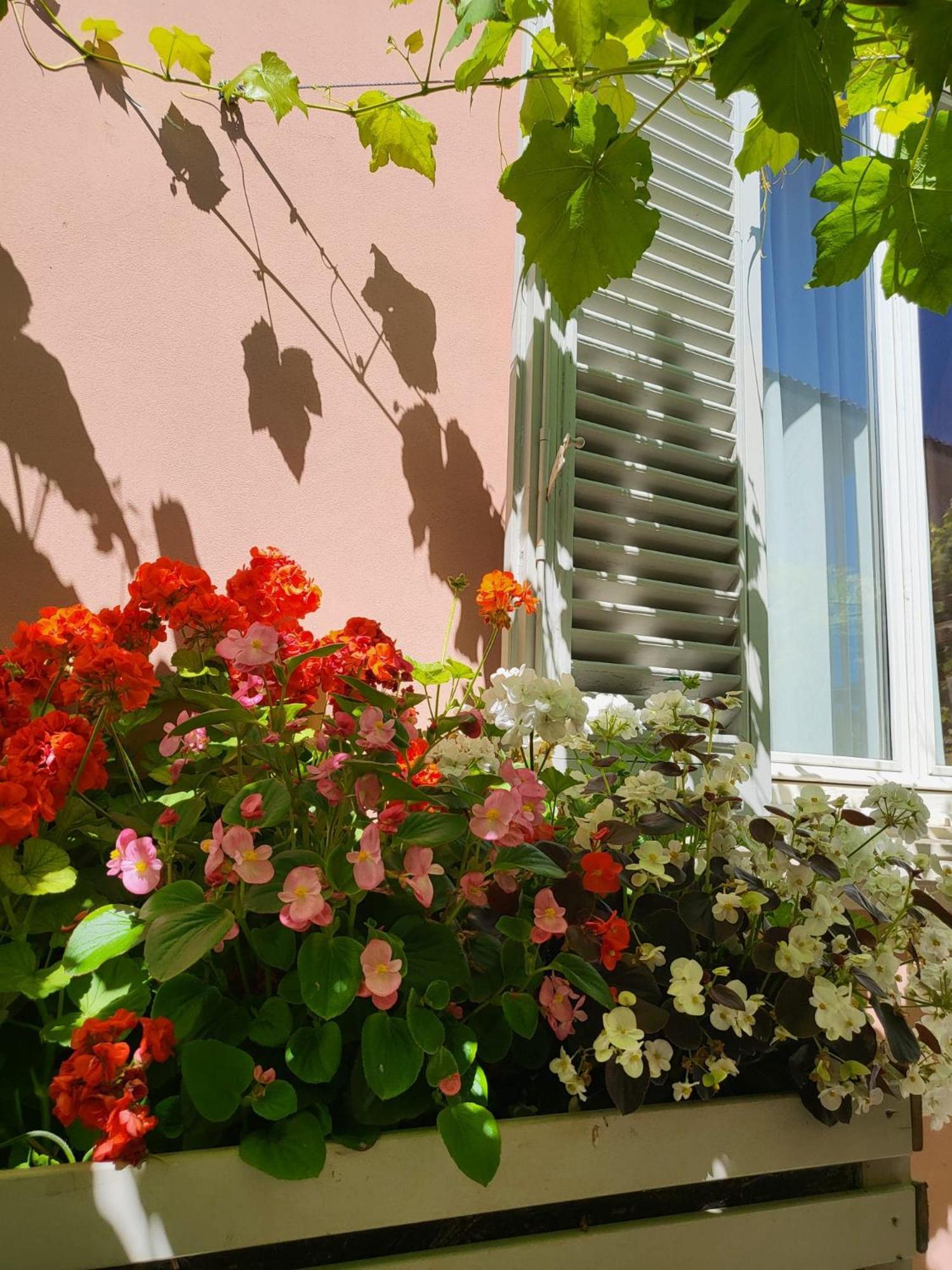 Hotel Il Buen Retiro Lukka Zewnętrze zdjęcie