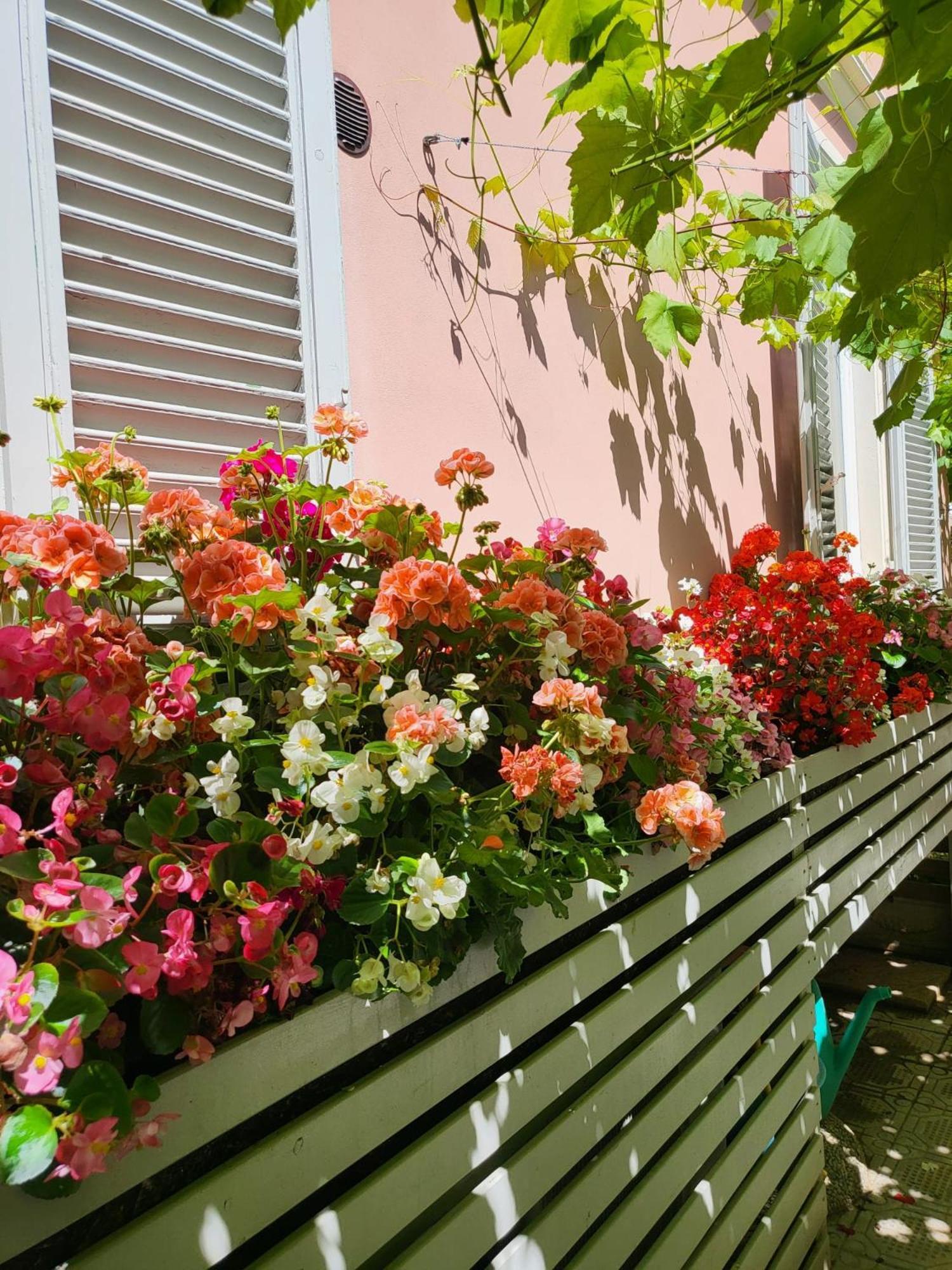 Hotel Il Buen Retiro Lukka Zewnętrze zdjęcie