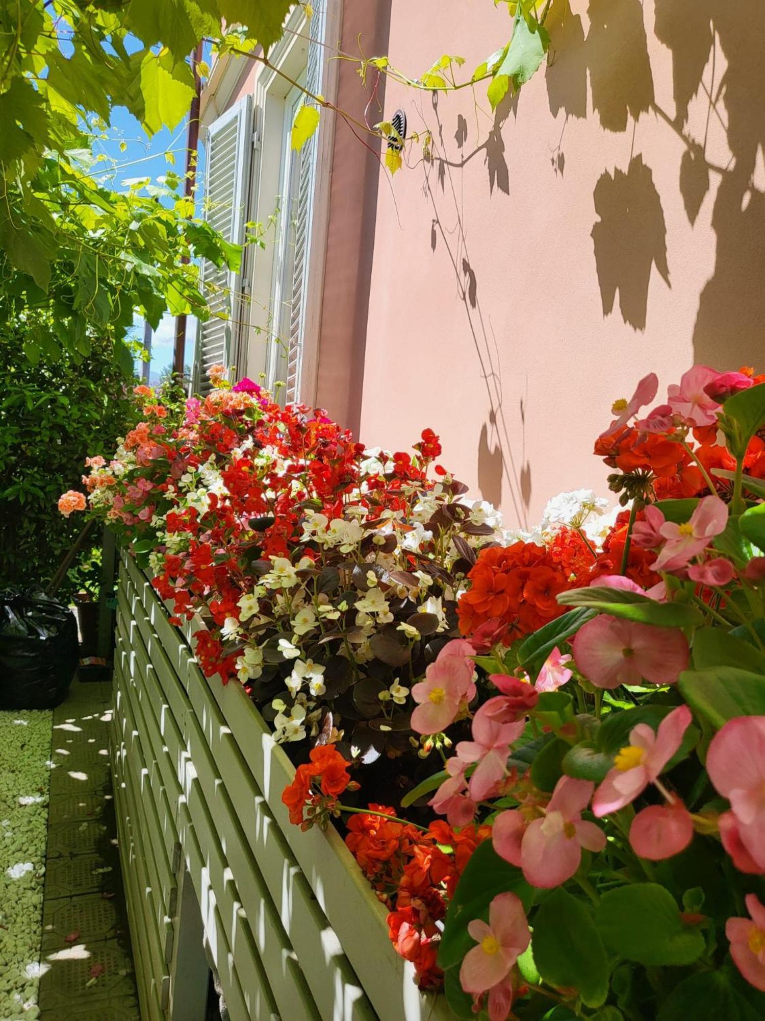 Hotel Il Buen Retiro Lukka Zewnętrze zdjęcie