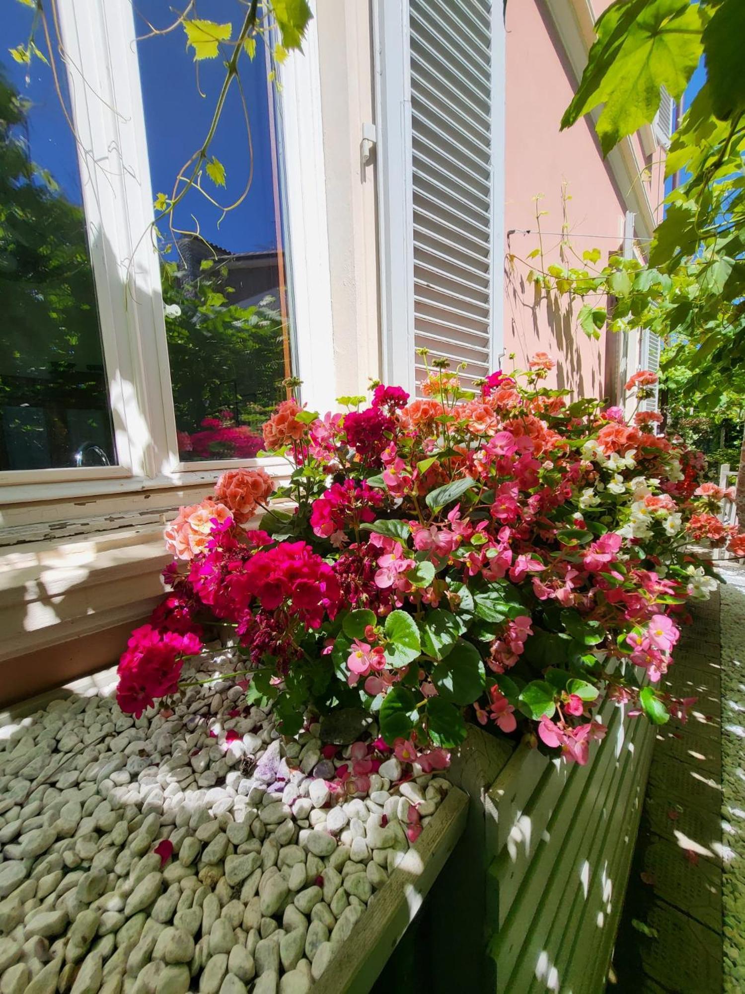 Hotel Il Buen Retiro Lukka Zewnętrze zdjęcie