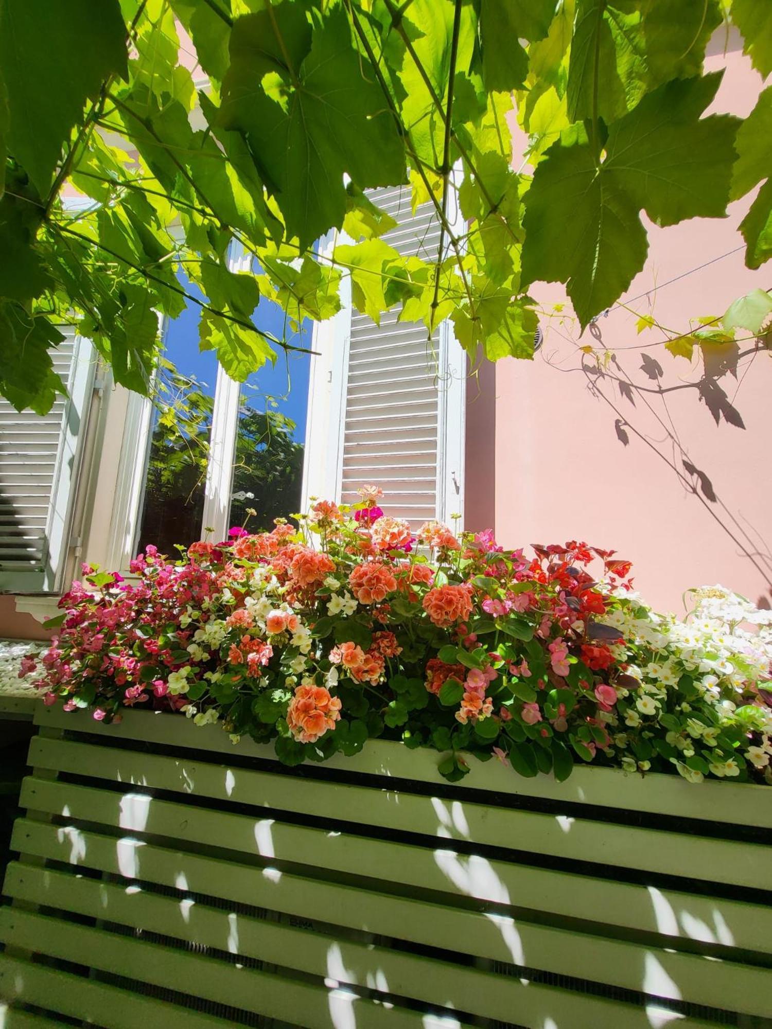Hotel Il Buen Retiro Lukka Zewnętrze zdjęcie