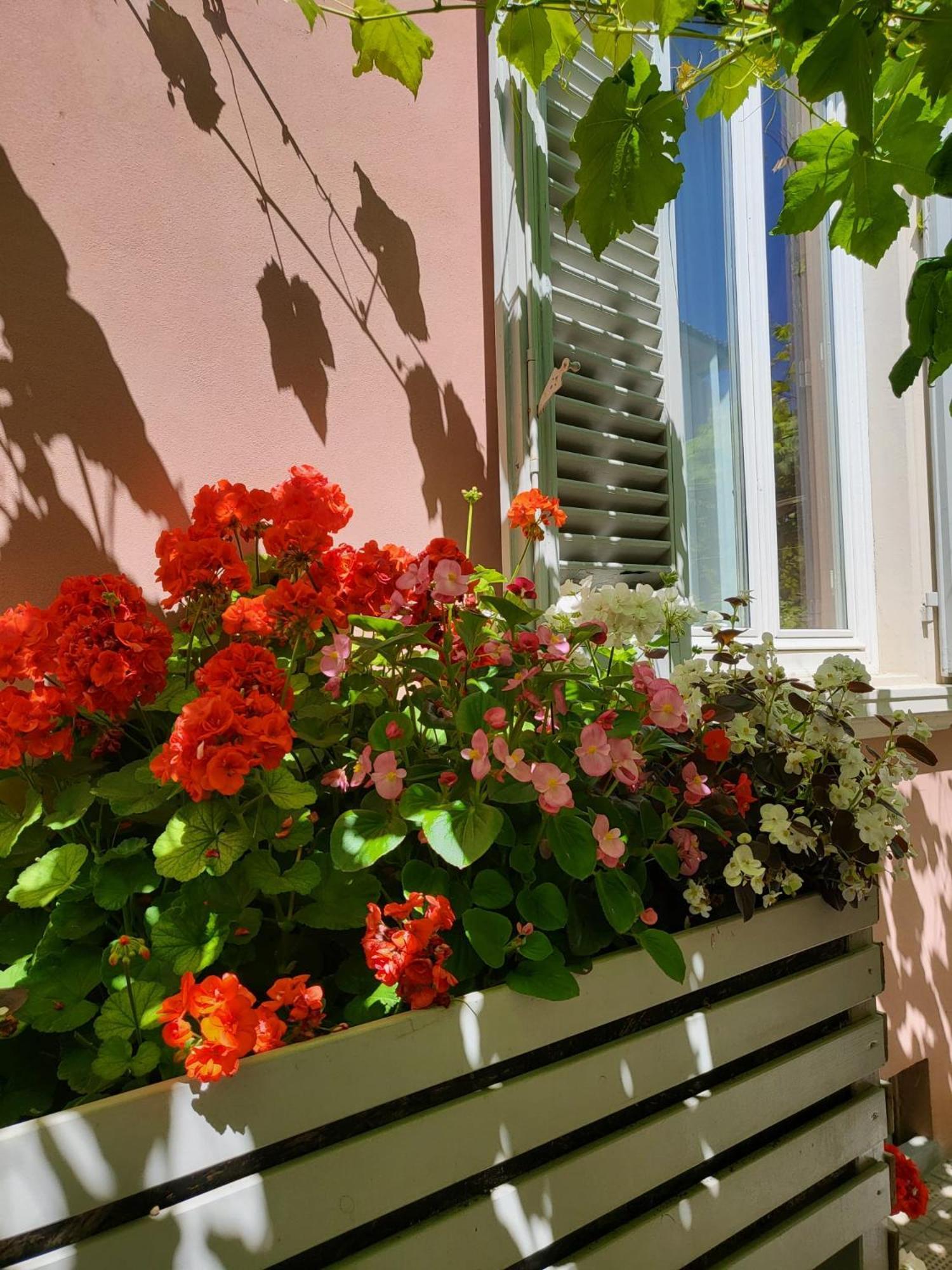 Hotel Il Buen Retiro Lukka Zewnętrze zdjęcie