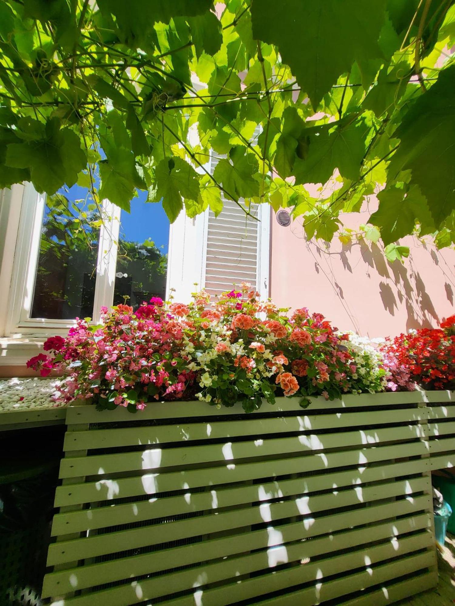 Hotel Il Buen Retiro Lukka Zewnętrze zdjęcie
