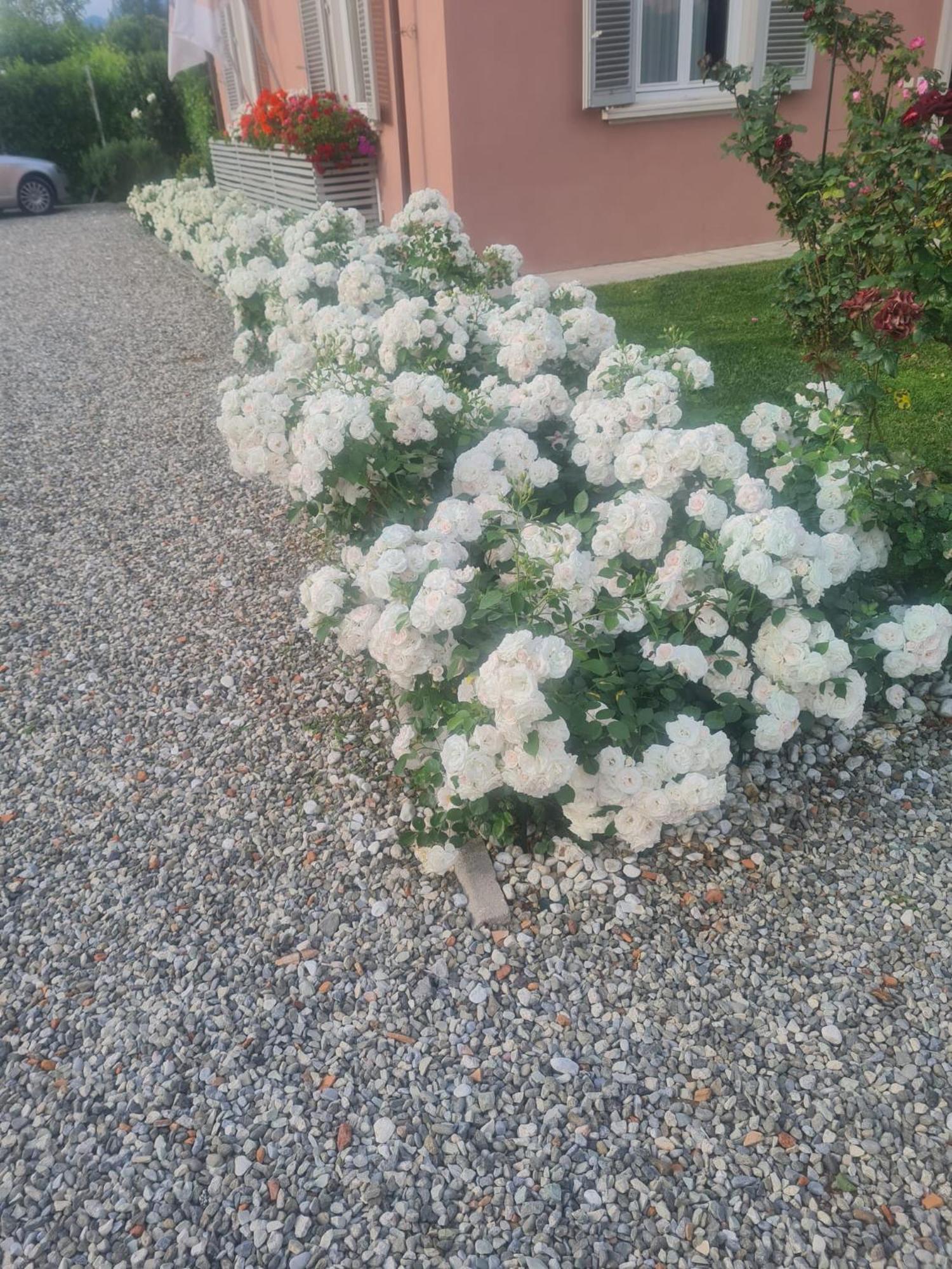 Hotel Il Buen Retiro Lukka Zewnętrze zdjęcie